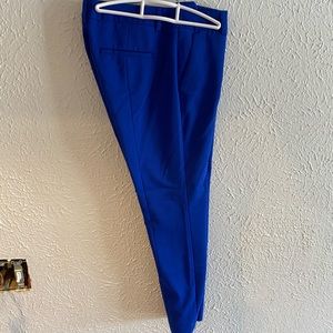 Express columnist dress pant